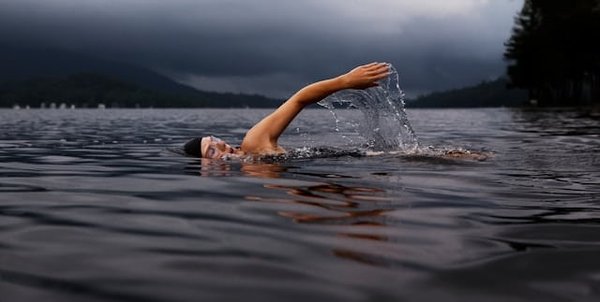 Comment intégrer des séances de natation dans l'entraînement d'un Labrador Retriever pour améliorer sa condition physique?